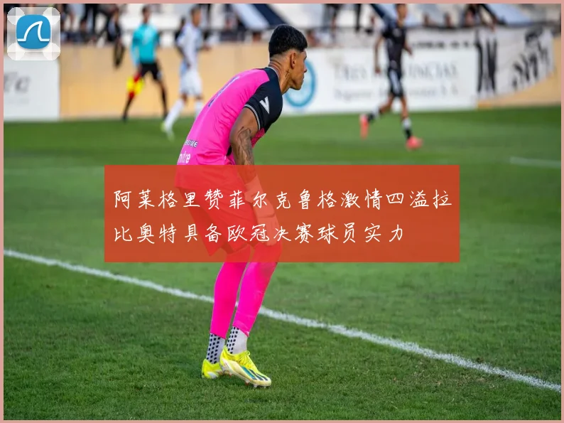 阿莱格里赞菲尔克鲁格激情四溢拉比奥特具备欧冠决赛球员实力