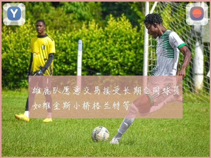 雄鹿队愿意交易接受长期合同球员如维金斯小桥格兰特等